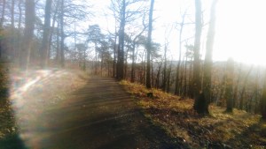 Wald Koblenz Remstecken KindinKoblenz