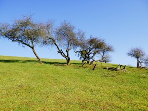 Westerwald Wild- und Freizeitpark Gackenbach