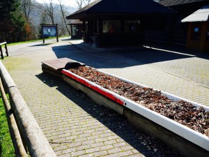 Rodelbahn Sommerbahn Wild- und Freizeitpark Gackenbach