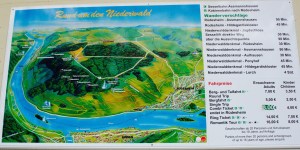 Niederwald Wanderung