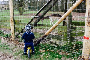 Niederwald Jagdschloss Wildpark