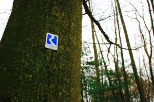 Rheinsteig Mittelrheintal