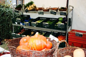 Bauernhof Frücht Kobenz Biohof