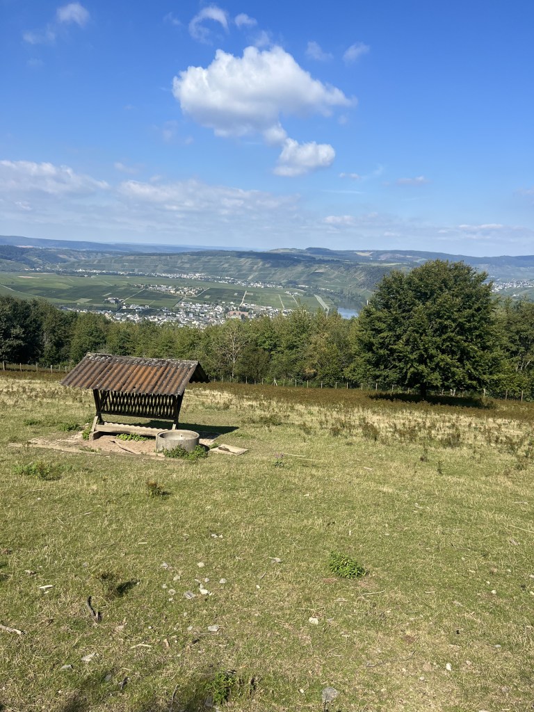 Landal Sonnenberg Wildgehege Aussicht Moseltal